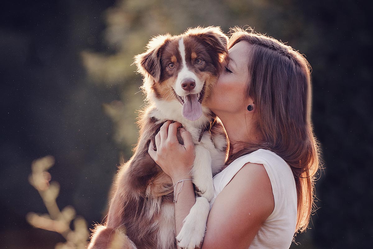 Frau küsste braunen Australian Shepherd